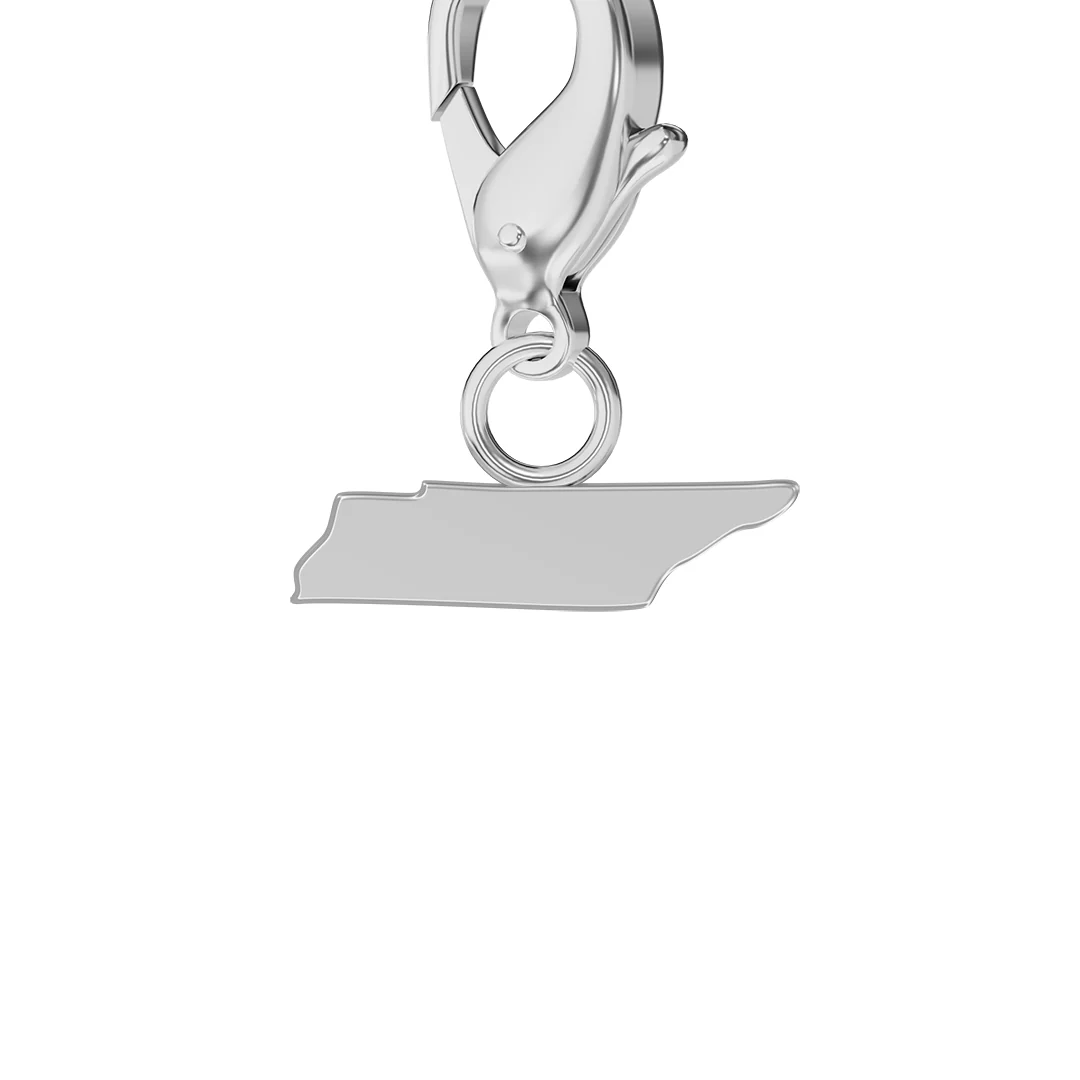 Product image 100